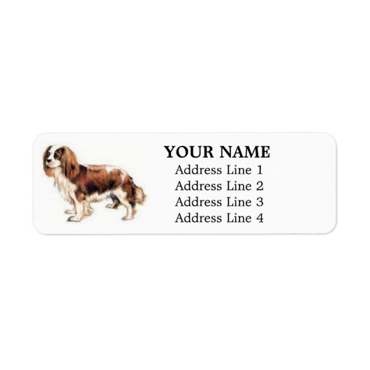 Cavalier King Charles Spaniel Adresetiketten Etiket (Voorkant)