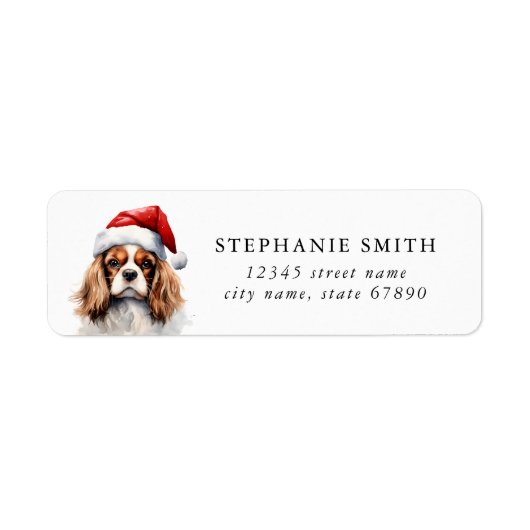 Cavalier King Charles Spaniel Adresetiketten Etiket (Voorkant)