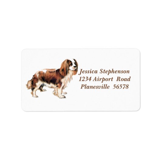 Cavalier King Charles Spaniel adreslabel Etiket (Voorkant)