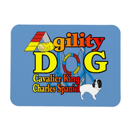 Cavalier King Charles Spaniel Agility Magneet (Horizontaal)