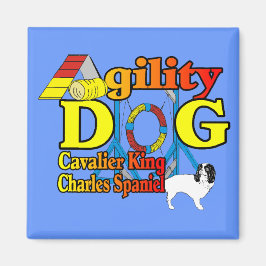 Cavalier_King_Charles_Spaniel_Agility Magneet