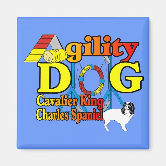 Cavalier_King_Charles_Spaniel_Agility Magneet (Voorkant)