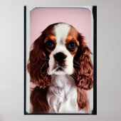 cavalier king charles spaniel ai7 poster (Voorkant)