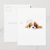Cavalier King Charles Spaniel Ansichtkaart Cadeau Briefkaart (Voorkant / Achterkant)