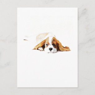 Cavalier King Charles Spaniel Ansichtkaart Cadeau Briefkaart