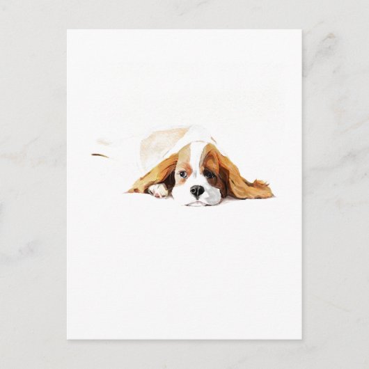 Cavalier King Charles Spaniel Ansichtkaart Cadeau Briefkaart (Voorkant)