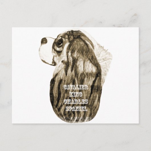 Cavalier King Charles Spaniel Antiek Profiel Briefkaart (Voorkant)