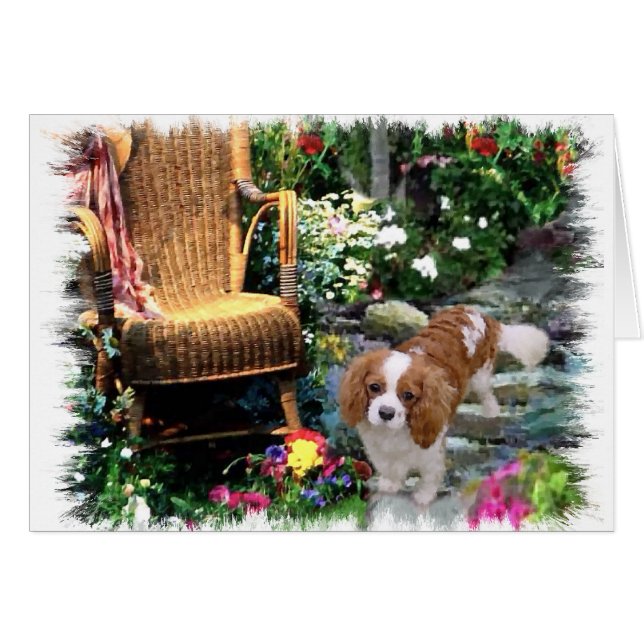 Cavalier King Charles Spaniel Art (Voorkant Horizontaal)