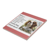 Cavalier King Charles Spaniel Art Love Tegeltje (Zijkant)