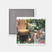 Cavalier King Charles Spaniel Art Magneet (Voorkant / Achterkant)