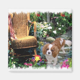 Cavalier King Charles Spaniel Art Magneet