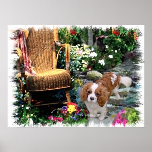 Cavalier King Charles Spaniel Art Poster (Voorkant)