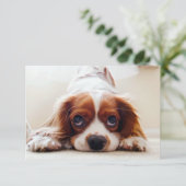 Cavalier King Charles Spaniel Bedankkaart (Staand voorkant)