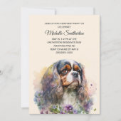 Cavalier King Charles Spaniel Birthday Kaart (Voorkant)