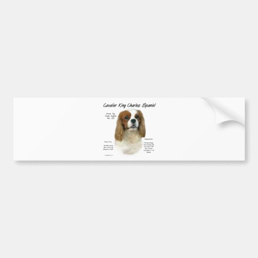 Cavalier King Charles Spaniel (Blenheim) Geschiede Bumpersticker (Voorkant)