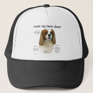 Cavalier King Charles Spaniel (Blenheim) Geschiede Trucker Pet