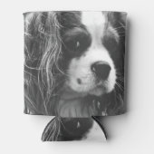 Cavalier King Charles Spaniel Blikjeskoeler (Voorkant)