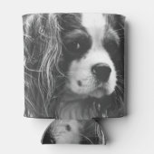 Cavalier King Charles Spaniel Blikjeskoeler (Achterkant)
