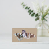 Cavalier King Charles Spaniel Breede Visitekaartje (Staand voorkant)