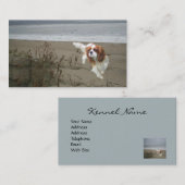 Cavalier King Charles Spaniel Breede Visitekaartje (Voorkant / Achterkant)