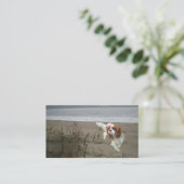Cavalier King Charles Spaniel Breede Visitekaartje (Staand voorkant)