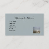 Cavalier King Charles Spaniel Breede Visitekaartje (Achterkant)