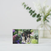 Cavalier King Charles Spaniel Breede Visitekaartje (Staand voorkant)