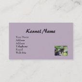 Cavalier King Charles Spaniel Breede Visitekaartje (Achterkant)