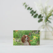 Cavalier King Charles Spaniel Breeder Business Car Visitekaartje (Staand voorkant)