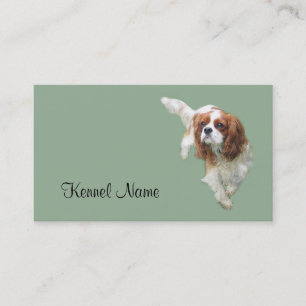 Cavalier King Charles Spaniel Breeder Business Car Visitekaartje