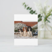 Cavalier King Charles Spaniel Briefkaart (Staand voorkant)