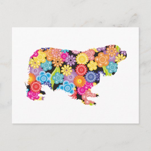 Cavalier King Charles Spaniel Briefkaart (Voorkant)