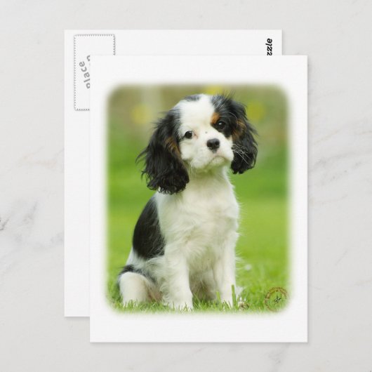 Cavalier King Charles Spaniel Briefkaart (Voorkant / Achterkant)