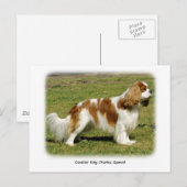 Cavalier King Charles Spaniel Briefkaart (Voorkant / Achterkant)
