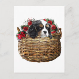 Cavalier King Charles Spaniel Briefkaart