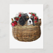 Cavalier King Charles Spaniel Briefkaart (Voorkant)