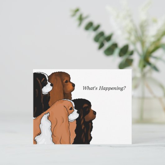 Cavalier King Charles Spaniel Briefkaart (Staand voorkant)