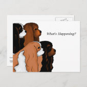 Cavalier King Charles Spaniel Briefkaart (Voorkant / Achterkant)