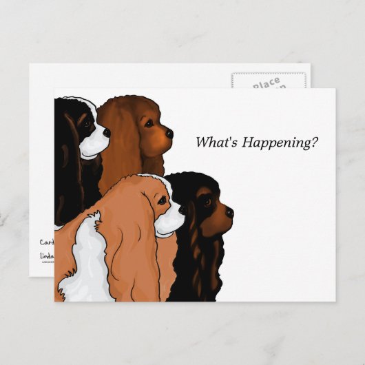 Cavalier King Charles Spaniel Briefkaart (Voorkant / Achterkant)