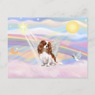 Cavalier King Charles Spaniel Briefkaart