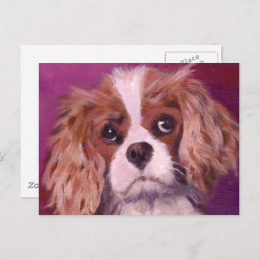 Cavalier King Charles Spaniel Briefkaart (Voorkant / Achterkant)