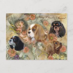 Cavalier King Charles Spaniel Briefkaart