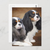 Cavalier King Charles Spaniel Briefkaart (Voorkant / Achterkant)