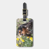 Cavalier King Charles Spaniel Broer & Zus  Bagagelabel (Voorkant verticaal)