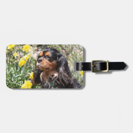 Cavalier King Charles Spaniel Brother & Zuster Bagagelabel