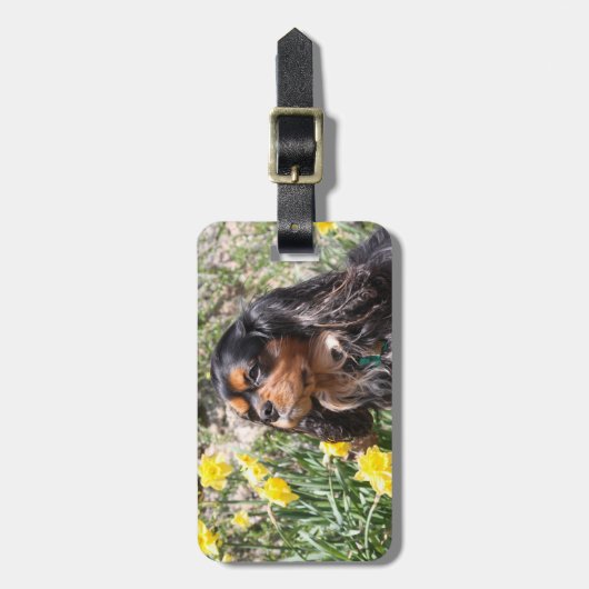 Cavalier King Charles Spaniel Brother & Zuster Bagagelabel (Voorkant verticaal)
