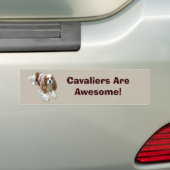 Cavalier King Charles Spaniel Bumpersticker (Op auto)