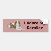 Cavalier King Charles Spaniel Bumpersticker (Voorkant)