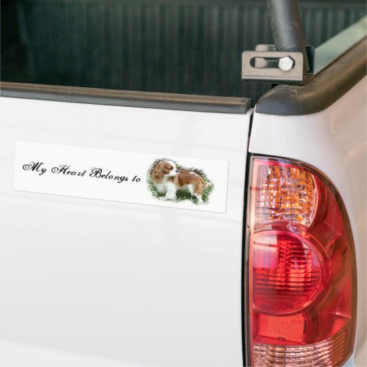Cavalier King Charles Spaniel Bumpersticker (Op Truck)