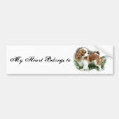 Cavalier King Charles Spaniel Bumpersticker (Voorkant)